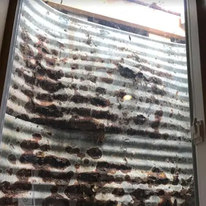 rusted bulging window well